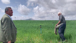 ÖMER FETHİ GÜRER: “TARIM 19 YILDIR EN YOKSUL SEKTÖR”