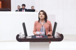 GÜLCAN KIŞ’TAN SERT TEPKİ: “KÜLTÜRÜ BÖLDÜNÜZ, SANATI AYRIŞTIRDINIZ”