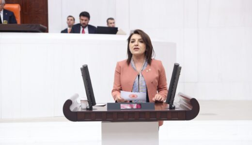 KIŞ: “MİLLİ PARKLAR KANUNU, AKP’NİN 24 YILLIK SON SATIŞ KATALOĞUDUR”