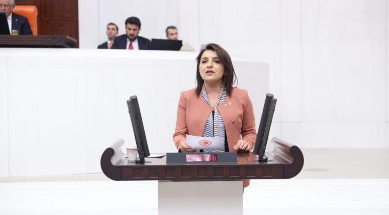 KIŞ: “MİLLİ PARKLAR KANUNU, AKP’NİN 24 YILLIK SON SATIŞ KATALOĞUDUR”