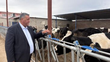 GÜRER: “DAHA AZ İTHAL HAYVANA, DAHA ÇOK DÖVİZ”