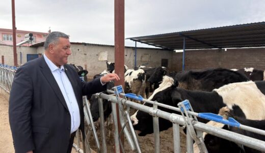 GÜRER: “DAHA AZ İTHAL HAYVANA, DAHA ÇOK DÖVİZ”