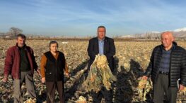 “EMEK TARLADA KALDI”