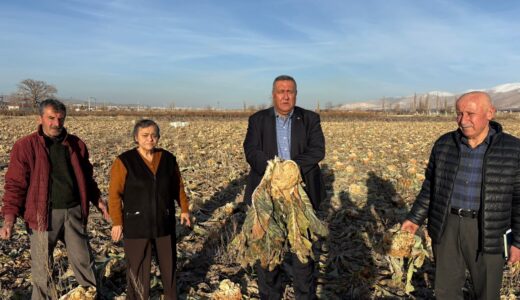 “EMEK TARLADA KALDI”