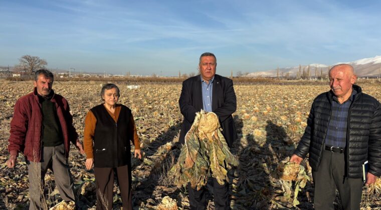 “EMEK TARLADA KALDI”