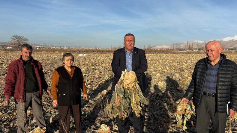 “EMEK TARLADA KALDI”