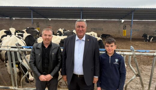 GÜRER: “BAKANLIK, BÜYÜKBAŞ HAYVAN VARLIĞININ NASIL ARTTIĞINI AÇIKLAMALIDIR”