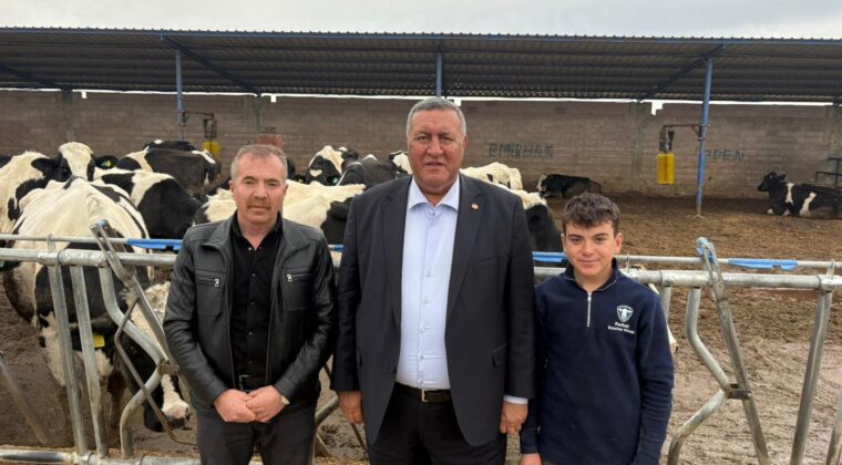 GÜRER: “BAKANLIK, BÜYÜKBAŞ HAYVAN VARLIĞININ NASIL ARTTIĞINI AÇIKLAMALIDIR”