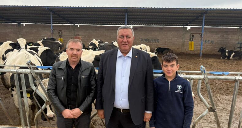 GÜRER: “BAKANLIK, BÜYÜKBAŞ HAYVAN VARLIĞININ NASIL ARTTIĞINI AÇIKLAMALIDIR”