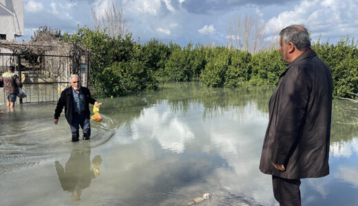 EKİLİ VE DİKİLİ TARIM ALANLARI İHMAL ALTINDA