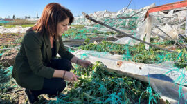 CHP’Lİ GÜLCAN KIŞ: “BİR GECEDE YOK OLAN EMEĞİ MECLİS GÜNDEMİNE TAŞIYORUZ”