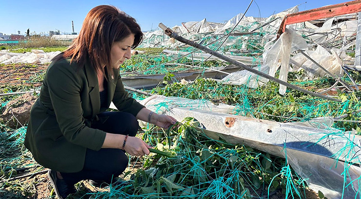 CHP’Lİ GÜLCAN KIŞ: “BİR GECEDE YOK OLAN EMEĞİ MECLİS GÜNDEMİNE TAŞIYORUZ”
