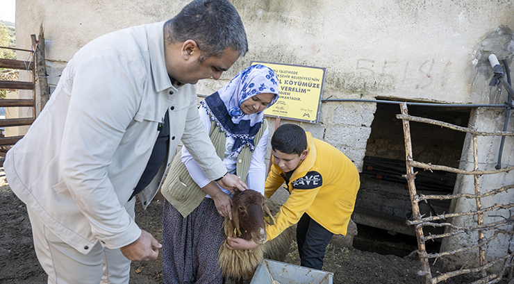 BÜYÜKŞEHİR’İN PROJESİNDE KUZULAR ARTTIKÇA ÜRETİCİNİN YÜZÜ GÜLÜYOR