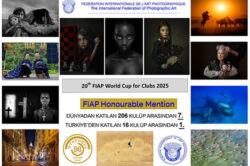 OTOFOKUS DÜNYA 7.Sİ, TÜRKİYE 1.Sİ…