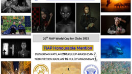 OTOFOKUS DÜNYA 7.Sİ, TÜRKİYE 1.Sİ…