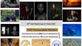 OTOFOKUS DÜNYA 7.Sİ, TÜRKİYE 1.Sİ…