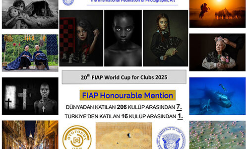 OTOFOKUS DÜNYA 7.Sİ, TÜRKİYE 1.Sİ…