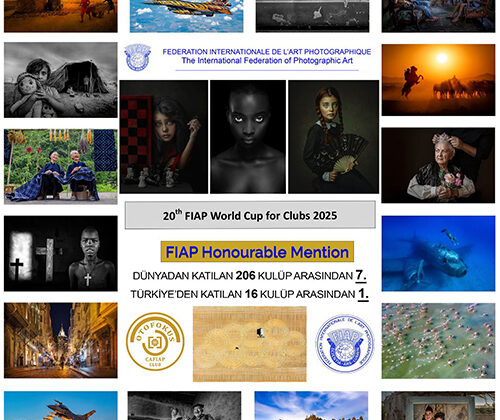 OTOFOKUS DÜNYA 7.Sİ, TÜRKİYE 1.Sİ…