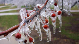 ZİRAİ DON İÇİN RİSKLİ DÖNEM YAKLAŞIYOR