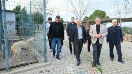 HAYVAN BAKIMEVİ’NDEKİ OLAY İÇİN AÇIKLAMA: “YEME YA DA SALDIRI DEĞİL, DAVRANIŞ GEREĞİ”