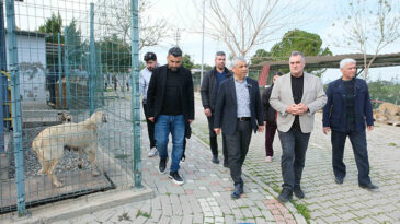 HAYVAN BAKIMEVİ’NDEKİ OLAY İÇİN AÇIKLAMA: “YEME YA DA SALDIRI DEĞİL, DAVRANIŞ GEREĞİ”