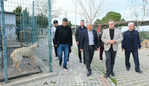 HAYVAN BAKIMEVİ’NDEKİ OLAY İÇİN AÇIKLAMA: “YEME YA DA SALDIRI DEĞİL, DAVRANIŞ GEREĞİ”