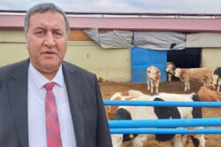 GÜRER: “HAYVAN İTHALATI İLE YEM İTHALATI YARIŞIYOR”