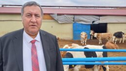 GÜRER: “HAYVAN İTHALATI İLE YEM İTHALATI YARIŞIYOR”