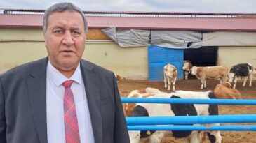 GÜRER: “HAYVAN İTHALATI İLE YEM İTHALATI YARIŞIYOR”
