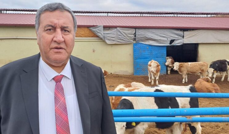 GÜRER: “HAYVAN İTHALATI İLE YEM İTHALATI YARIŞIYOR”