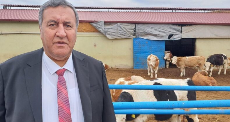 GÜRER: “HAYVAN İTHALATI İLE YEM İTHALATI YARIŞIYOR”