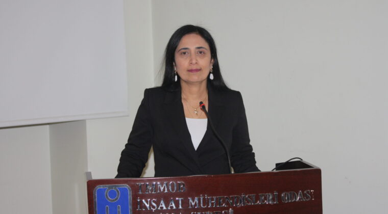 2025 YILINDA 203 KADIN AİLE ÜYELERİ TARAFINDAN ÖLDÜRÜLDÜ