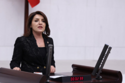 CHP’Lİ GÜLCAN KIŞ, “ŞAMPİYON AT” SMART LATCH SKANDALINI VE GIDA DENETİM ZİNCİRİNİ MECLİS’E TAŞIDI