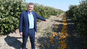 AYHAN BARUT: “TARIMSAL ÜRETİM VE ÇİFTÇİ KRİZDE”
