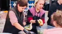 BİZBİZE BALIK 4 BİN BALIK-EKMEK-ŞALGAM DAĞITTI