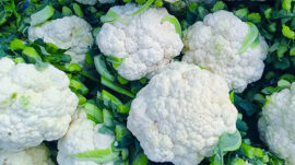 ŞUBAT AYI ZAM ŞAMPİYONU: KARNABAHAR…