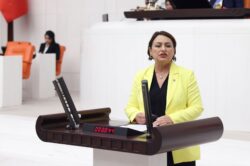 MÜZEYYEN ŞEVKİN: “KARŞILIKSIZ ÇEKLERDE PATLAMA OLDU, İCRA PATLAMASI KAPIDA”