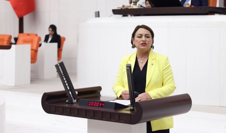CHP’Lİ DR. MÜZEYYEN ŞEVKİN, ÇİFTÇİNİN SEL MAĞDURİYETİNİ TBMM’YE TAŞIDI