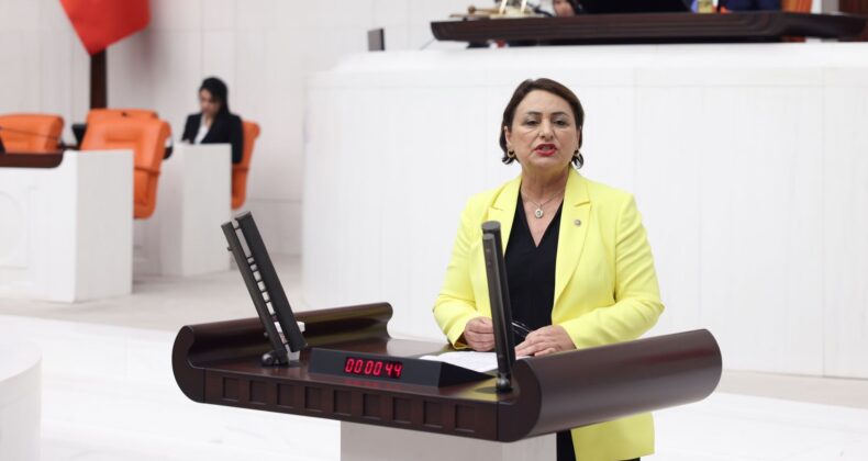 MÜZEYYEN ŞEVKİN: “KARŞILIKSIZ ÇEKLERDE PATLAMA OLDU, İCRA PATLAMASI KAPIDA”