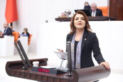 CHP’Lİ GÜLCAN KIŞ: “HASTALAR İLACA DEĞİL ÇARESİZLİĞE ERİŞİYOR”