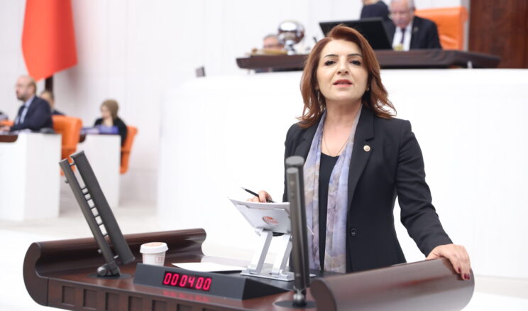 CHP’Lİ GÜLCAN KIŞ: “HASTALAR İLACA DEĞİL ÇARESİZLİĞE ERİŞİYOR”
