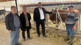 “ARTAN MALİYETLER SÜT ÜRETİCİSİNİ BİTİRİYOR”