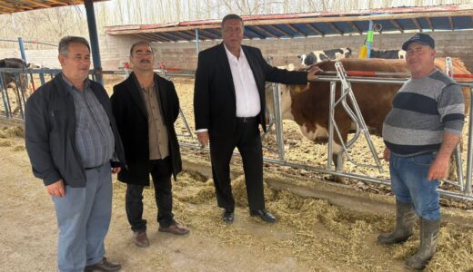 “ARTAN MALİYETLER SÜT ÜRETİCİSİNİ BİTİRİYOR”