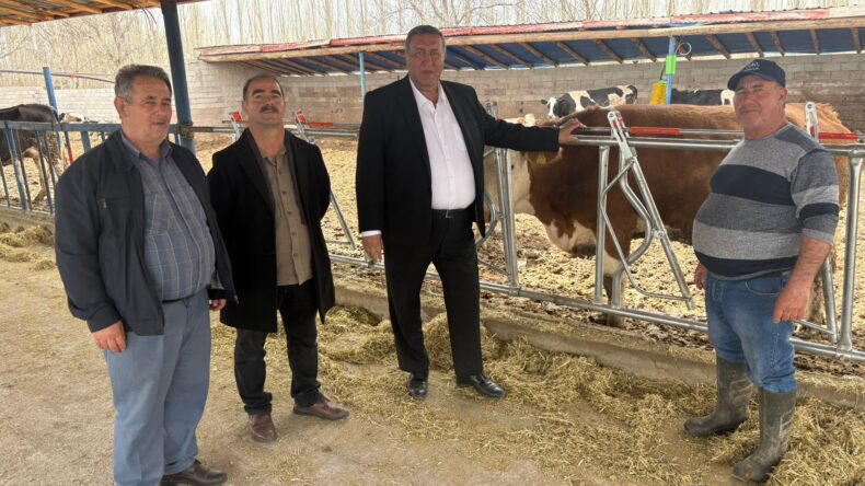 “ARTAN MALİYETLER SÜT ÜRETİCİSİNİ BİTİRİYOR”