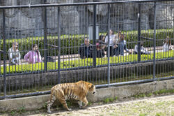 MERSİN BÜYÜKŞEHİR, EMEKLİLERİ DOĞAYLA BULUŞTURUYOR