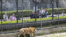 MERSİN BÜYÜKŞEHİR, EMEKLİLERİ DOĞAYLA BULUŞTURUYOR