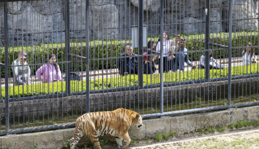 MERSİN BÜYÜKŞEHİR, EMEKLİLERİ DOĞAYLA BULUŞTURUYOR