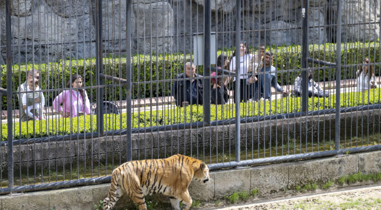 MERSİN BÜYÜKŞEHİR, EMEKLİLERİ DOĞAYLA BULUŞTURUYOR
