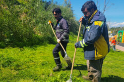ÇUKUROVA BELEDİYESİ’NDEN PARK VE YEŞİL ALANLARDA YOĞUN MESAİ