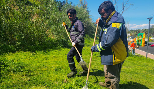 ÇUKUROVA BELEDİYESİ’NDEN PARK VE YEŞİL ALANLARDA YOĞUN MESAİ